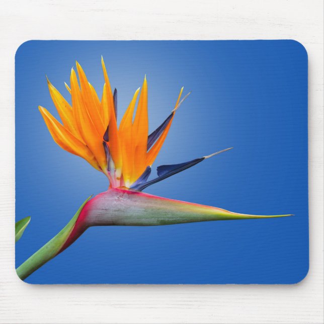 Tapis De Souris Beau Oiseau de Paradise Strelitzia Flower (Devant)