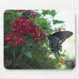 Tapis De Souris Beau papillon