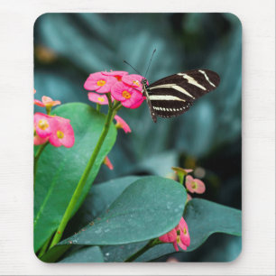 Tapis De Souris Beau papillon sur une fleur rose