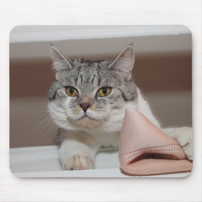 Tapis De Souris Beau Tomcat de Shorthair britannique (Devant)