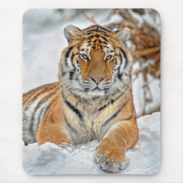 Tapis De Souris Beauté de tigre dans la neige (Devant)