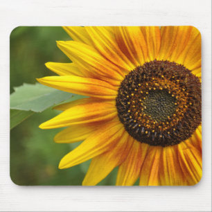 Tapis De Souris Beauté des tournesols