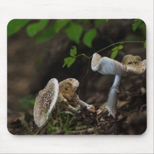 Tapis De Souris Beauté douteuse