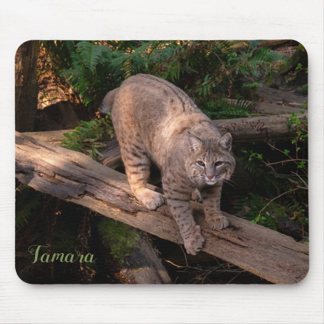 Tapis De Souris Beautiful Bobcat Wildlife Lover Custom Name (Devant)