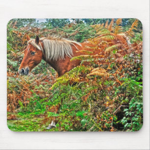 Tapis De Souris Beautiful Equines Cheval-lover's Gift