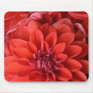 Tapis De Souris Beautiful red dahlia flowers