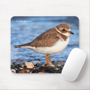 Tapis De Souris Beautiful Semipalmated Plover on Beach