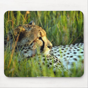 Tapis De Souris Beaux animaux sauvages 112