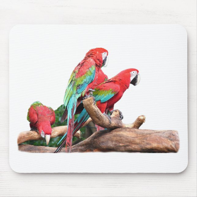 Tapis De Souris beaux perroquets rouges et bleus (Devant)
