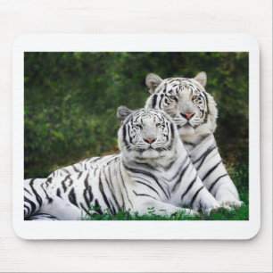 Tapis De Souris Beaux tigres blancs