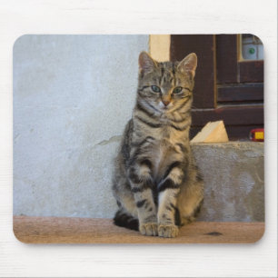 Tapis De Souris Bébé adorable de tigre