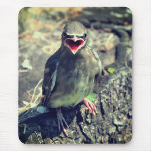 Tapis De Souris Bébé cirage Jeune Oiseau Nature