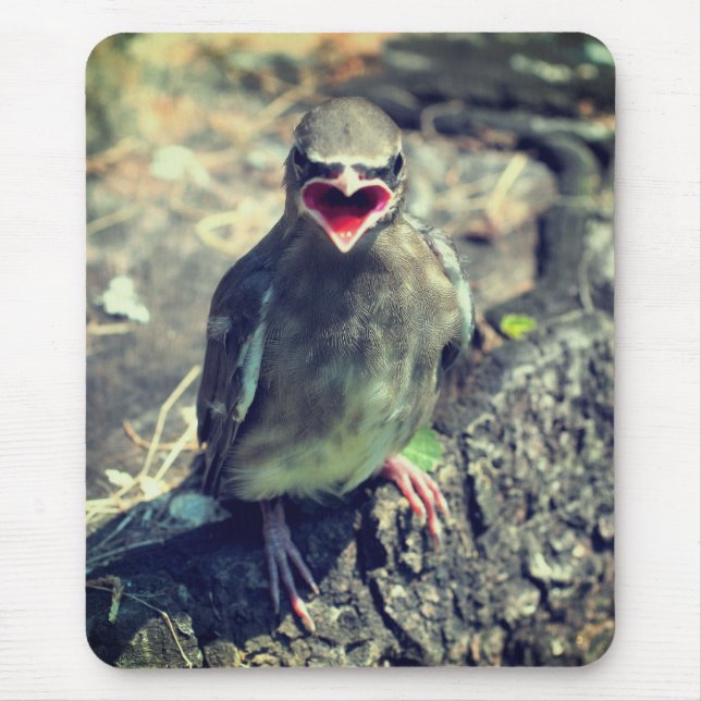 Tapis De Souris Bébé cirage Jeune Oiseau Nature (Devant)