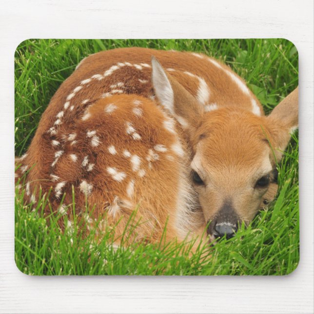 Tapis De Souris Bébé endormi - Fawn (Devant)