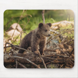 Tapis De Souris Bébé mignon Ours en Bois