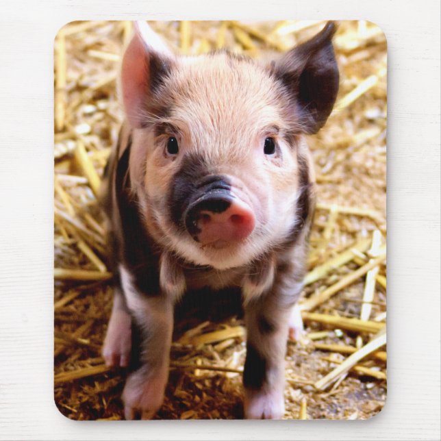 Tapis De Souris Bébé mignon porc (Devant)