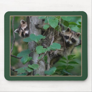 Tapis De Souris Bébé mignon Raccoons