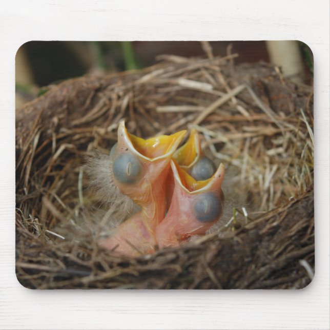 Tapis De Souris Bébé Oiseaux (Devant)