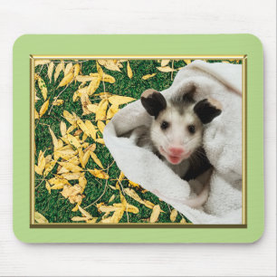 Tapis De Souris Bébé opossum