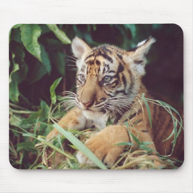 Tapis De Souris Bébé Oselote Mousepad (Devant)