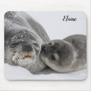 Tapis De Souris Bébé phoque mignon et maman