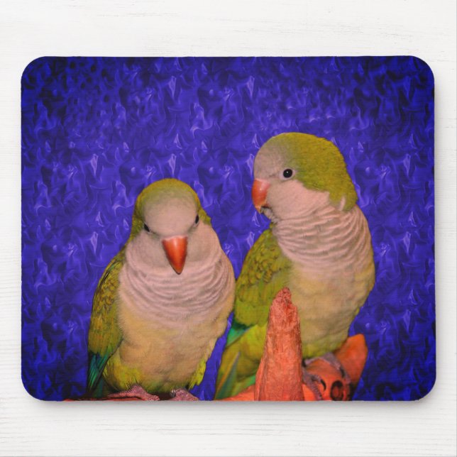 Tapis De Souris Bébé Quaker Parrots Animal (Devant)