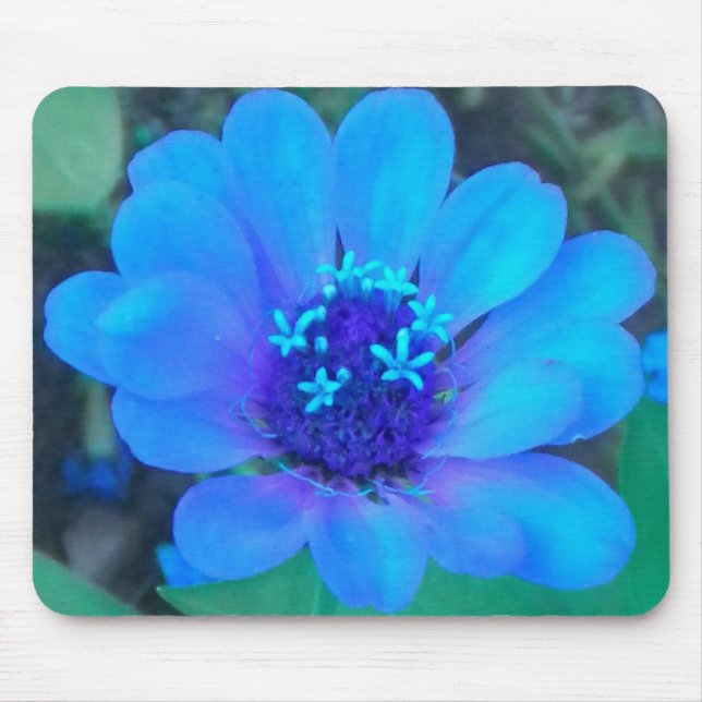 Tapis De Souris Bébé Zinnia en Mousepad bleu (Devant)