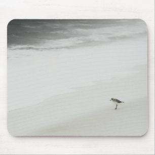 Tapis De Souris Bécasseau côtier sur la plage
