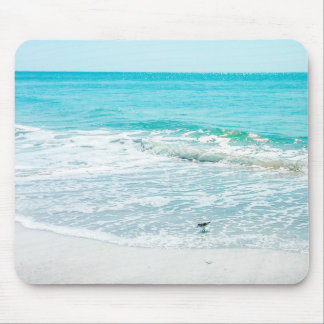 Tapis De Souris Bécasseau de sable de Floride