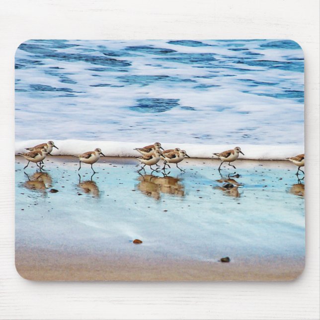 Tapis De Souris Bécasseaux fonctionnant le long de la plage (Devant)