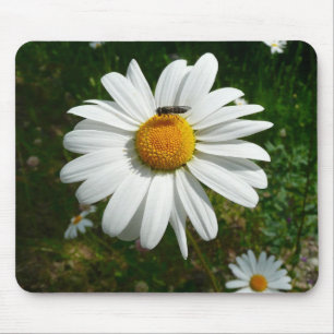 Tapis De Souris Bee on Daisy Alaskan Summer Nature
