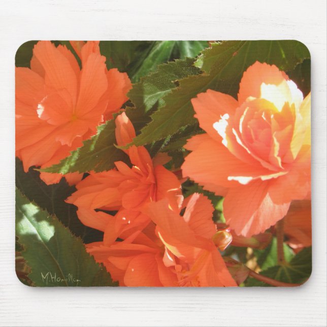 Tapis De Souris Begonias Photo Mousepad (Devant)