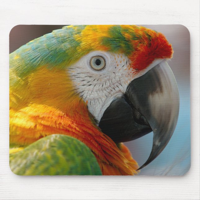 Tapis De Souris Bel ara (Devant)