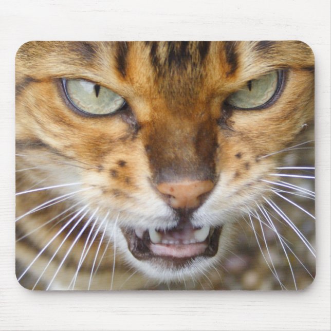 Tapis De Souris Belle Chat Bengale (Devant)