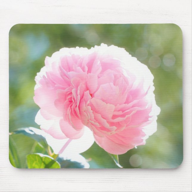Tapis De Souris Belle fleur rose de pivoine au soleil (Devant)