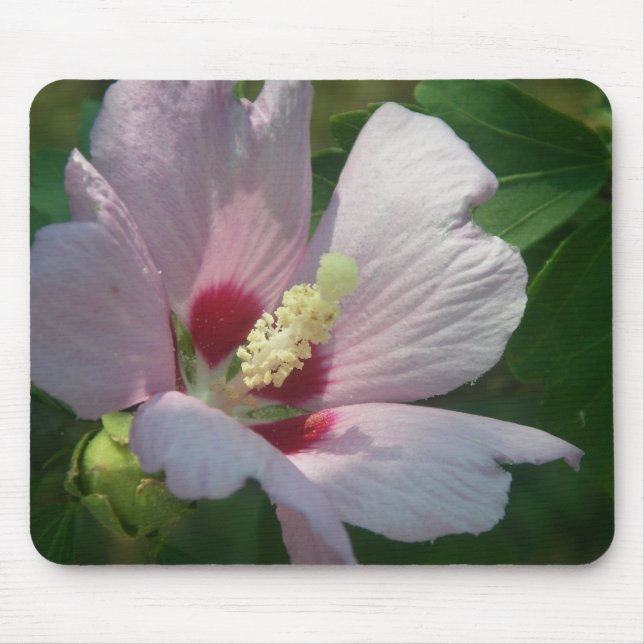 Tapis De Souris Belle fleur rose Mousepad (Devant)