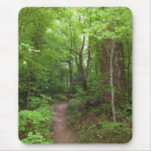 Tapis De Souris Belle Forêt d'été (3) Mousepads