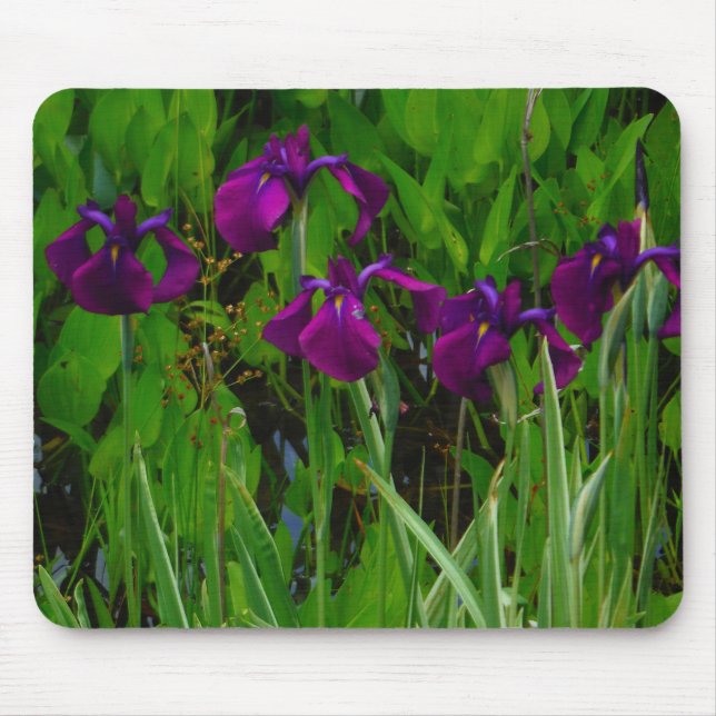 Tapis De Souris Belle Iris Violet (Devant)