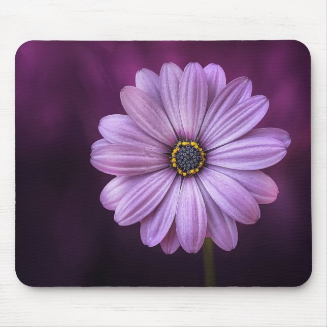 Tapis De Souris Belle, lumineuse, élégante, marguerite rose-violet (Devant)
