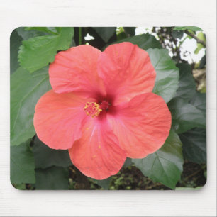 Tapis De Souris Belle Orange Hibiscus Fleur Mousepad