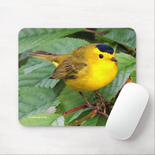 Tapis De Souris Belle Paruline Wilson dans Cherry Tree