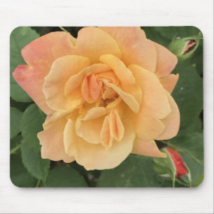 Tapis De Souris Belle Peach Coloured Rose Pad