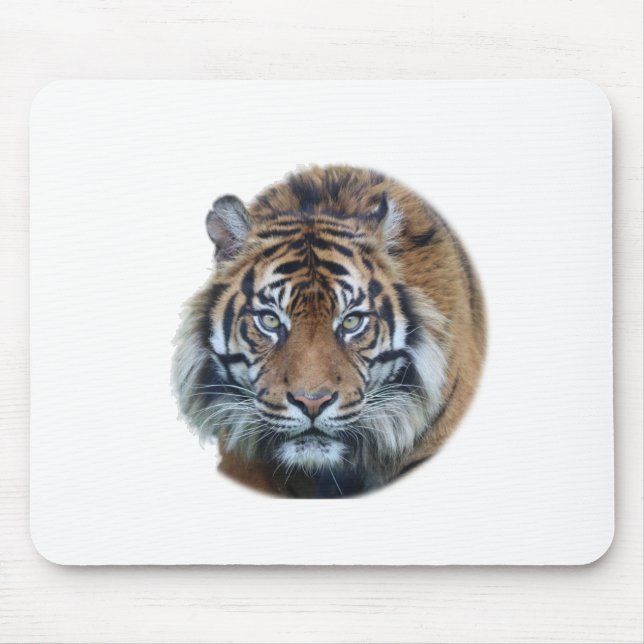 Tapis De Souris Belle photo du visage du tigre du Bengale (Devant)