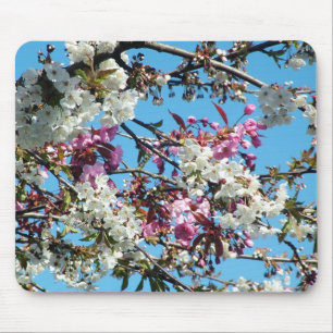 Tapis De Souris Belle rose printanière, fleurs de cerisier blanc