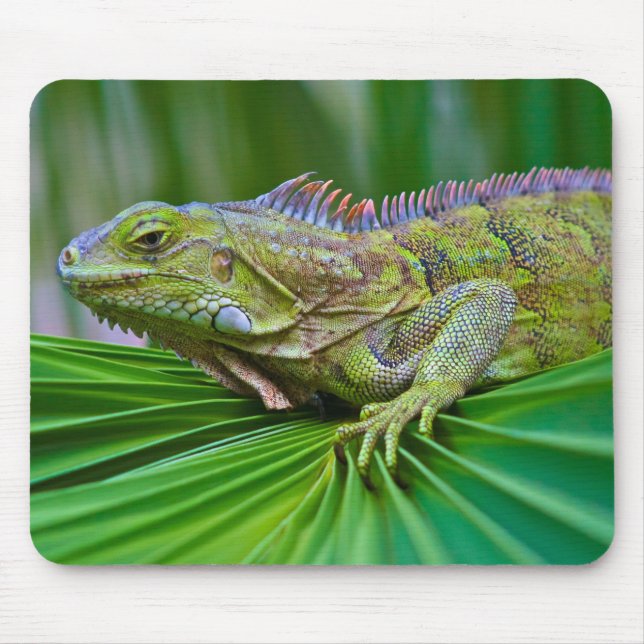 Tapis De Souris Belle Souris Chameleon (Devant)