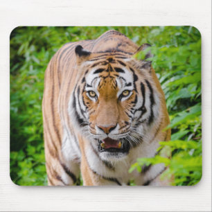 Tapis De Souris Belle souris de tigre