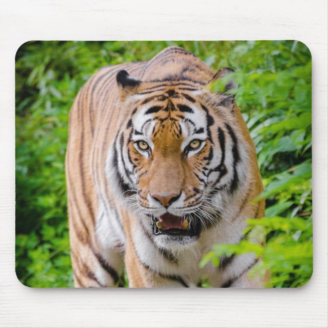 Tapis De Souris Belle souris de tigre (Devant)