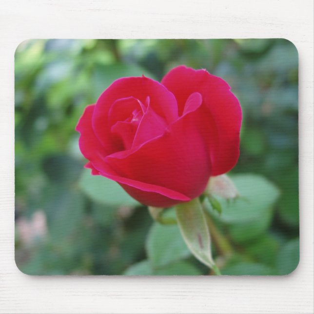 Tapis De Souris Belle souris Rose (Devant)