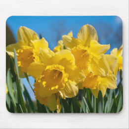 Tapis De Souris Belles Daffodiles Jaunes