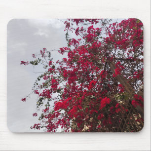 Tapis De Souris Belles fleurs de Bougainville rouge et ciel nuageu
